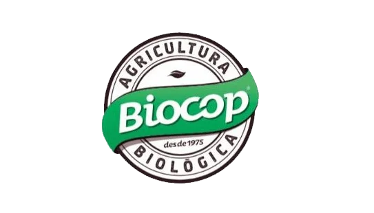 Caffè solubile istantaneo Caffè Arabica Caffè Robusta Aroma autentico Biocop vegano