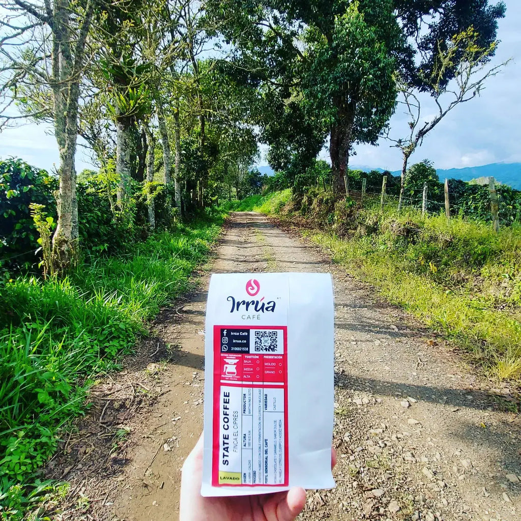 Caffè speciale IRRÚA - Caffè dalla Colombia (SCA 84.5) - Chicchi di caffè tostati naturali 100% Arabica