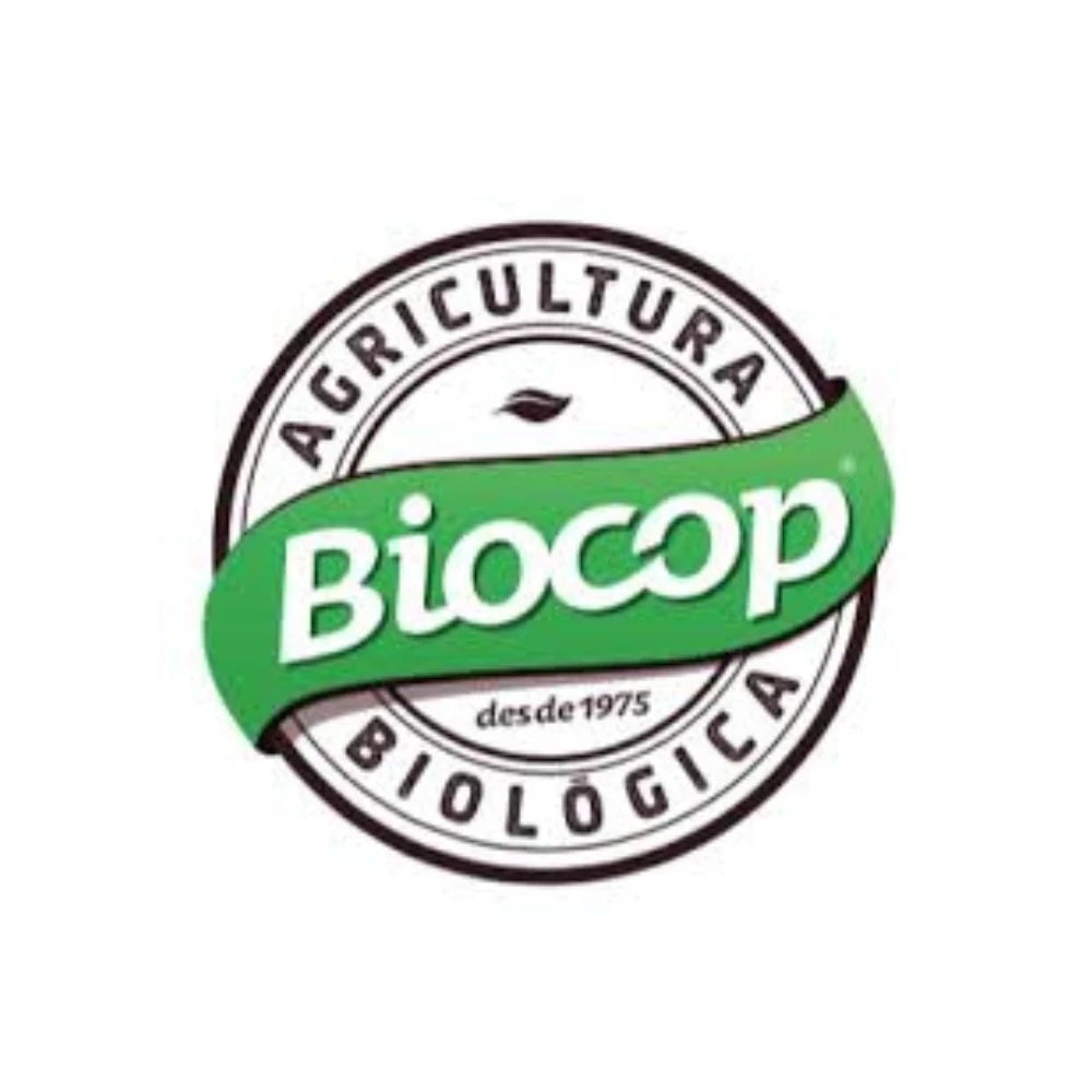 Caffè solubile istantaneo Caffè Arabica Caffè Robusta Aroma autentico Biocop vegano